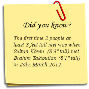 The Tallest Man Fact 6